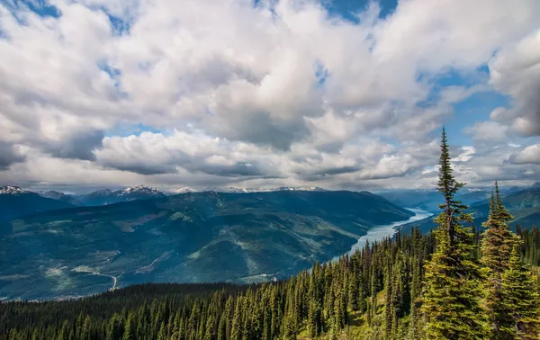 Widok Parku Narodowego Mount revelstoke — Zdjęcie stockowe