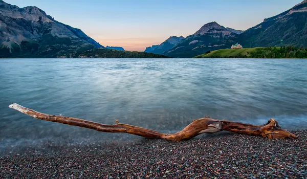 Waterton Lakes Log — Stock Image Waterton Lakes Log Royalty Free Stock Photos