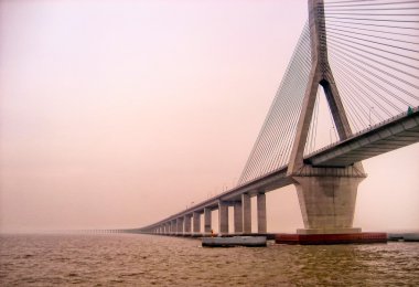 zhejiang Çin donghai gelin