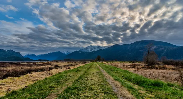 Route herbeuse menant aux montagnes — Photo