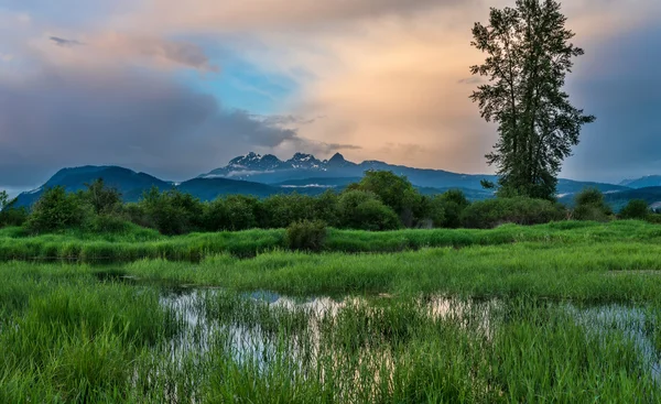 Široký úhel marsh v popředí a na pozadí hory — Stock fotografie