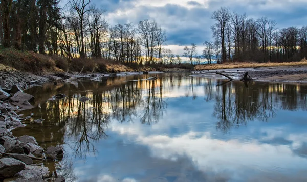 Bare Trees Reflected in River — Stock Photo, Image