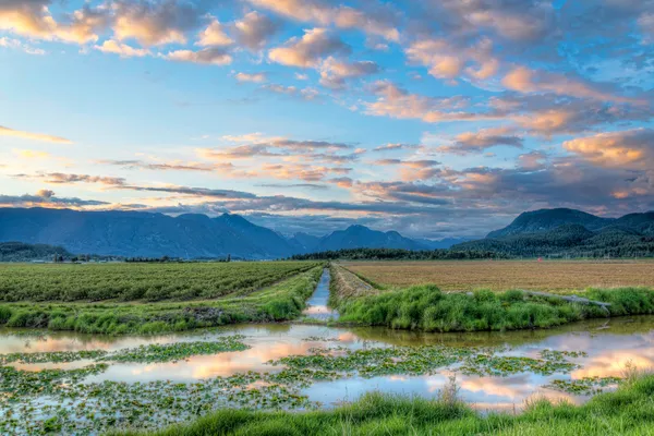 nehir iki alan arasında
