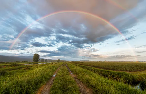 toprak yol güzel bir gökkuşağı altında
