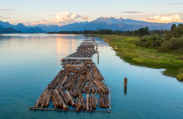 Logs no rio e montanhas distantes — Fotografia de Stock