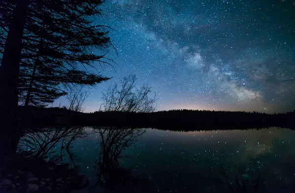 Copaci cu Calea Lactee — Fotografie, imagine de stoc