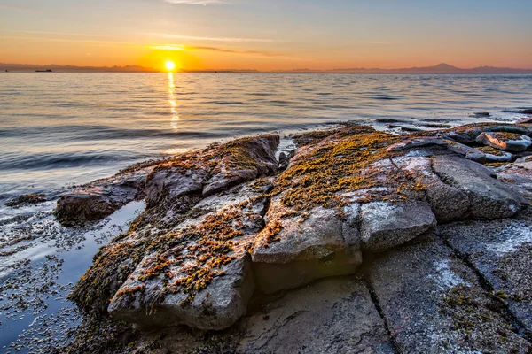 Lever de soleil sur la côte rocheuse — Photo