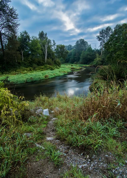 Arbres verts avec rivière sinueuse — Photo