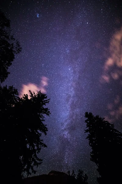 ağaçlar ve Samanyolu bulutlar ile