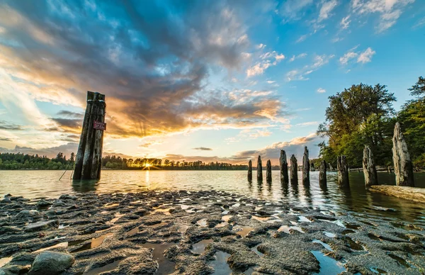 Atardecer junto al río con madera — Foto de Stock