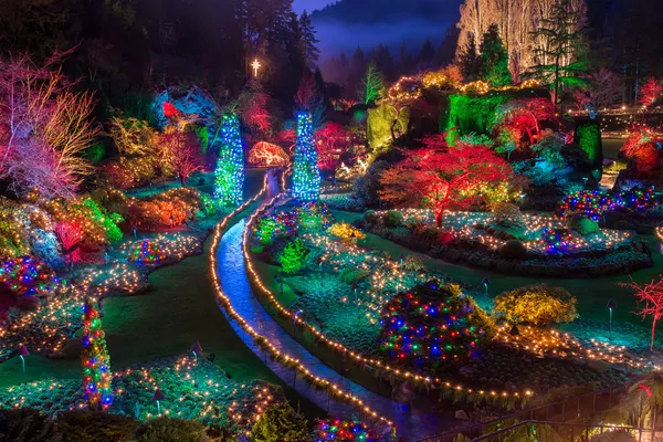 ブッチャート ガーデン カラフルなクリスマス ライト ストック画像