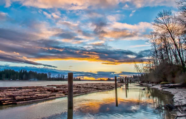 fraser Nehri üzerinde yüzen kereste
