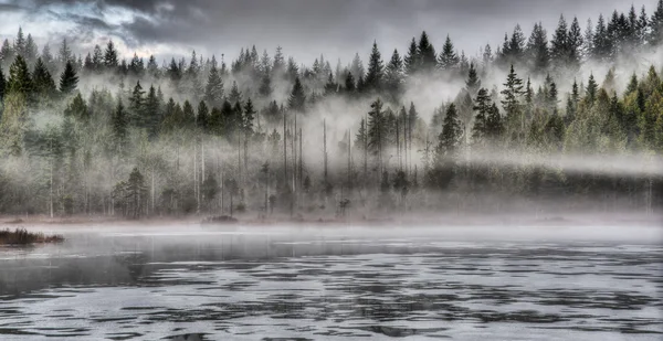 Brouillard dramatique dans la forêt le long du lac — Photo