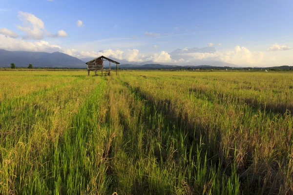 Kota belud, borneo, sabah, Malezja — Zdjęcie stockowe