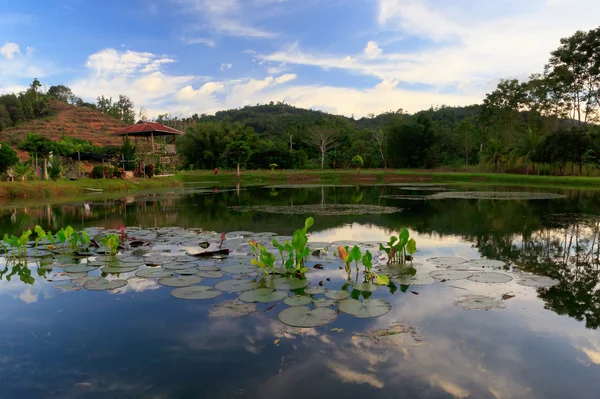 Reflection of hills and sky on a fish pond — Stock Photo, Image