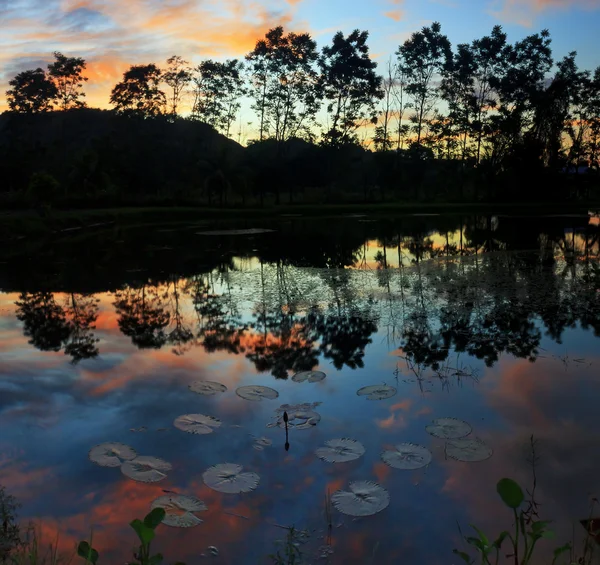 Odraz stromů a barvy západu slunce na jezero — Stock fotografie