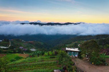 highlands Malezya borneo, sabah, güneş doğarken