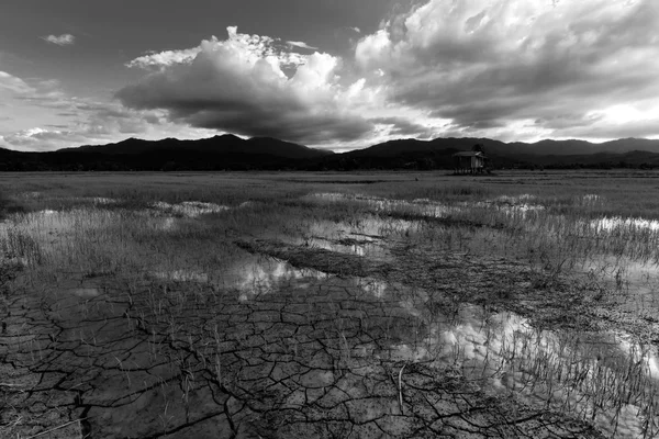 Schwarz-weiße Landschaft in Borneo, Sabah, Malaysia — Stockfoto