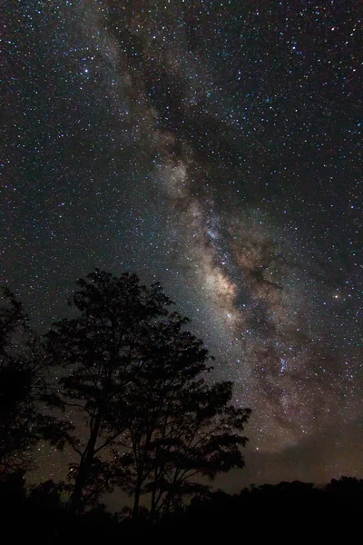 Voie lactée à Bornéo, Sabah, Malaisie — Photo