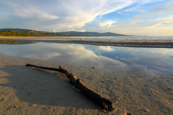 Drift dřevo na pláži s odrazem oblohy v sabah, borneo, Malajsie — Stock fotografie