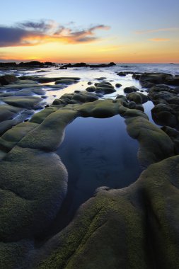 sabah, borneo, Malezya, gün batımında buzlu yeşil yosun