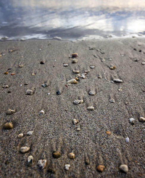 Ciottoli e conchiglie sulla spiaggia di sabbia — Foto Stock