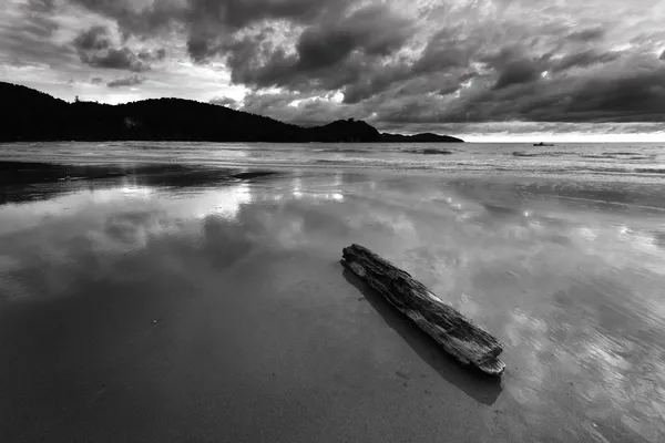 Legno incagliato su una spiaggia con cielo drammatico in bianco e nero — Foto Stock