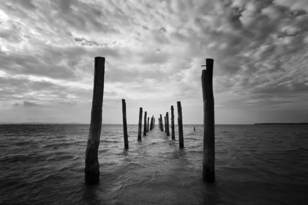 Zwart-wit zeegezicht met houten pijlers als toonaangevende lijnen — Stockfoto