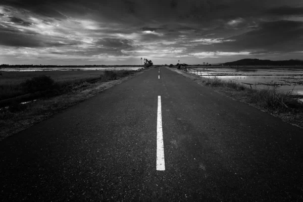 Estrada e paisagem em preto e branco — Fotografia de Stock