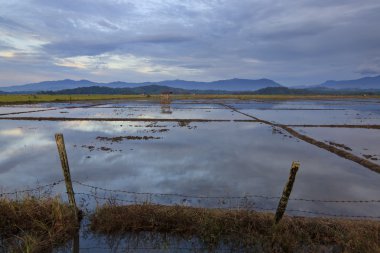 kırsal sahne içten içe borneo, sabah, Malezya