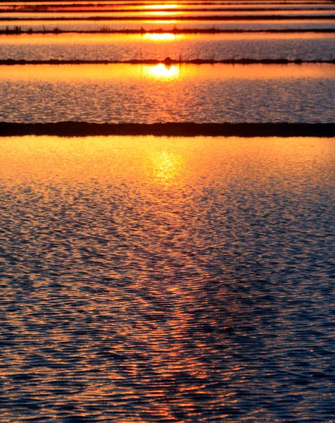 Kabbelende water met zonsondergang kleuren — Stockfoto