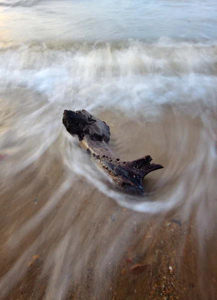 Driftwood with waves in motion — Stock Photo, Image