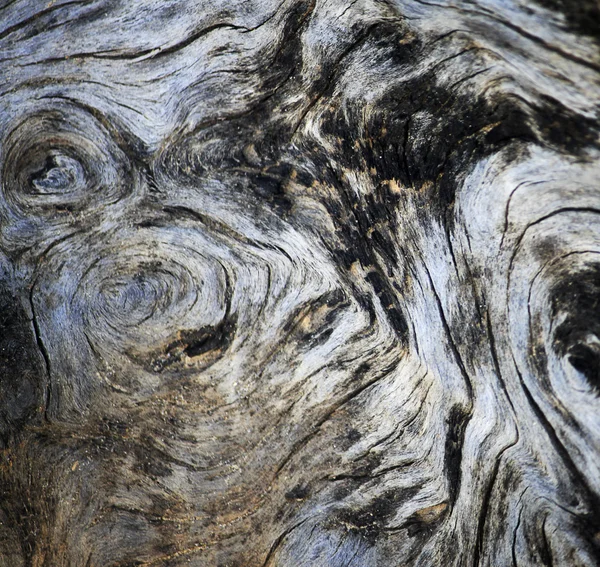 Closeup ξύλο υφή — Φωτογραφία Αρχείου