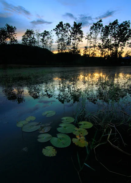 Puesta de sol en un lago en Borneo, Sabah, Malasia —  Fotos de Stock