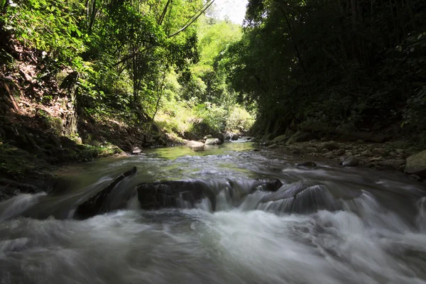 Flod i regnskov ved Borneo, Sabah, Malaysia - Stock-foto