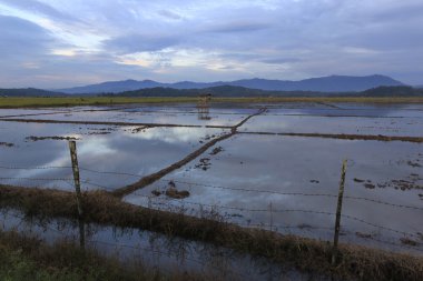 kırsal sahne içten içe borneo, sabah, Malezya