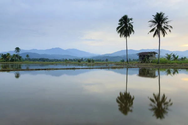 Reflexión tranquila al atardecer en Borneo, Sabah, Malasia —  Fotos de Stock