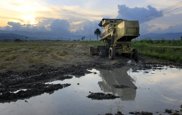 Kombinera skördare och skördade paddy på sabah, borneo, malaysia — Stockfoto