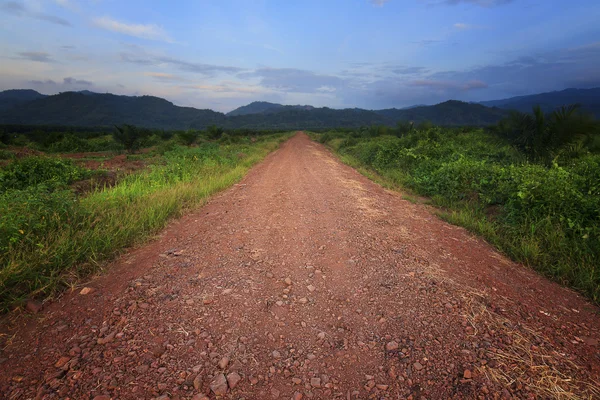 Żwir drogi prowadzącej do wzgórz na borneo, sabah, Malezja — Zdjęcie stockowe