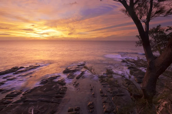 Sonnenuntergang an der Küste, umrahmt von einem Baum in Borneo, Sabah, Malaysia — Stockfoto