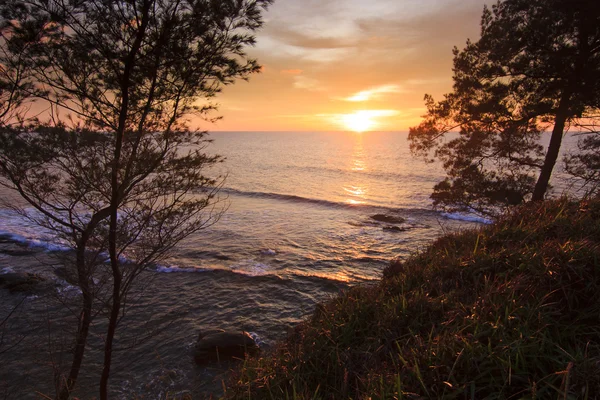 Západ slunce mezi stromy na cípu ostrova borneo, sabah, Malajsie — Stock fotografie