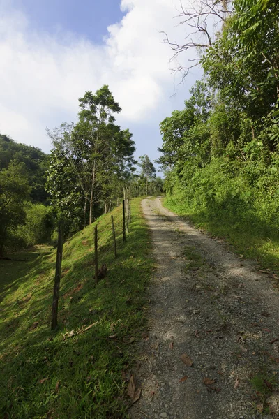 Grind weg omhoog een heuvel op borneo, sabah, Maleisië — Stockfoto