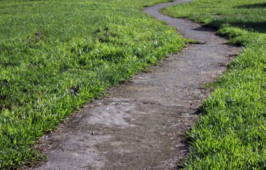 kıvrımlı yol ile yeşil çimen