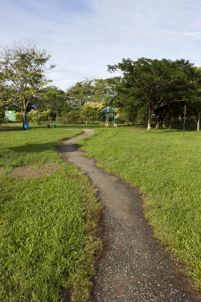 Caminho de pedra em um parque com grama verde e árvores — Fotografia de Stock