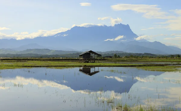 Reflectie van mount kinabalu in sabah, borneo, Maleisië — Stockfoto