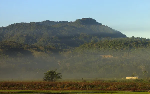 Colline nebbiose nel Borneo, Sabah, Malesia — Foto Stock