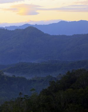 borneo tropik bir ormanda Hills'te katmanları