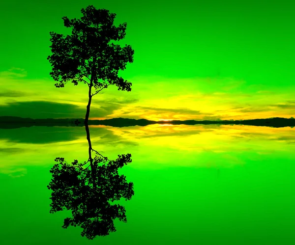 Reflection and silhouette of a single tree — Stock Photo, Image