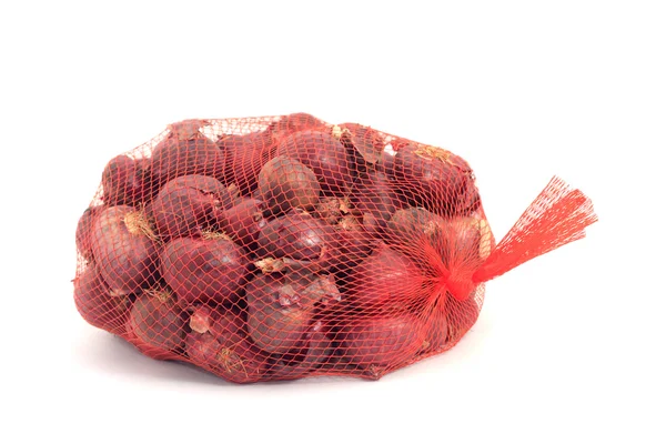 Shallots in a net over white background — Stock Photo, Image