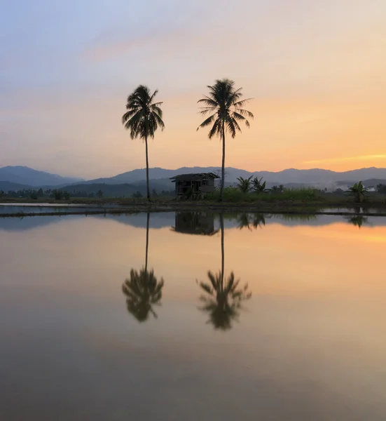 Silhuetten av en koja och palmer vid solnedgången i sabah, borneo, malaysia — Stockfoto